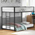 Andrews Twin Twin Low Bunk Bed in Black and White
