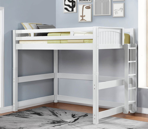 Dillon Coastal Full Loft Bed with Straight Ladder on End